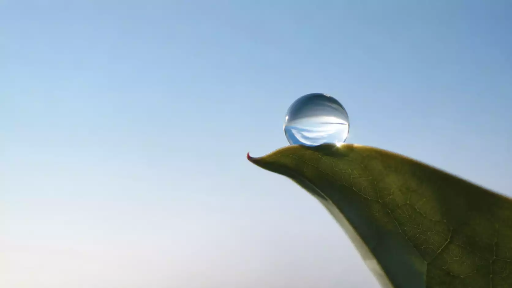 直證菩提不是遙不可及_當下重置與覺性認出